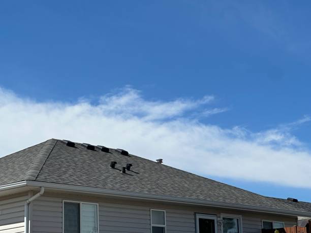 Best Roof Ventilation Installation  in Centerville, PA